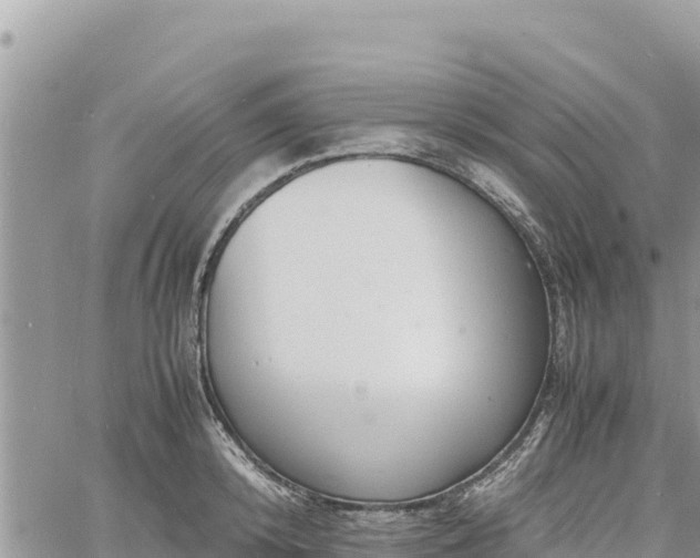 X0000060750800200511171121