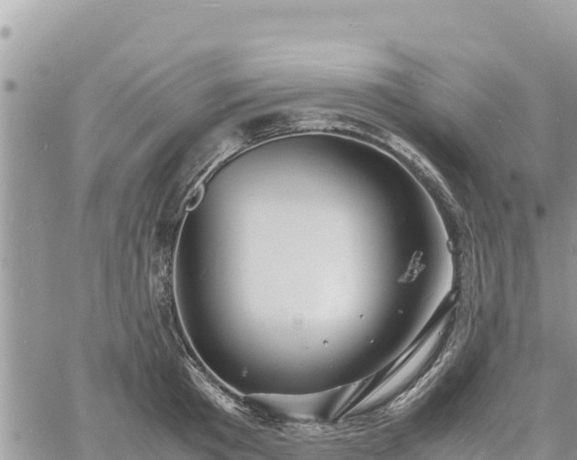 X0000060750801200511171121