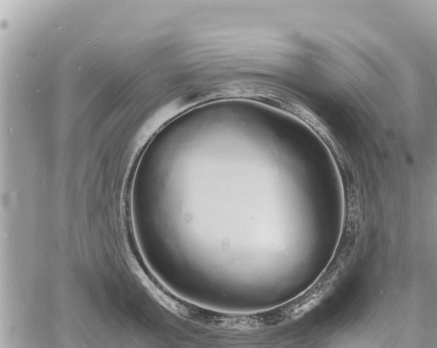 X0000060750803200511171121