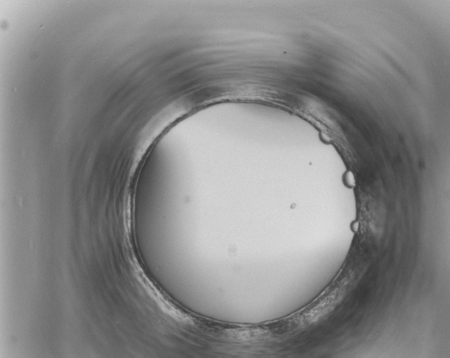 X0000060750804200511171121