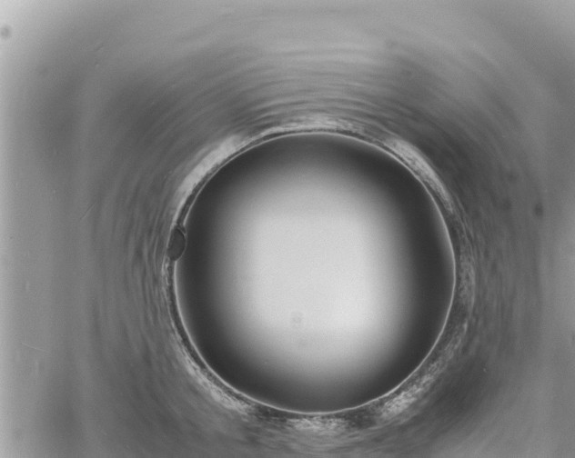 X0000060750805200511171121