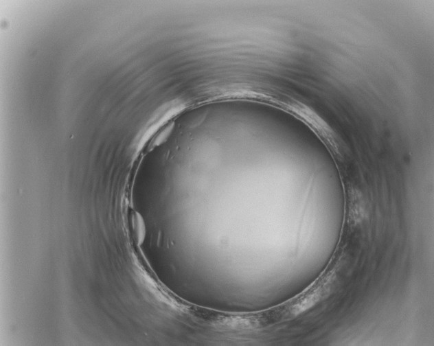 X0000060750806200511171121