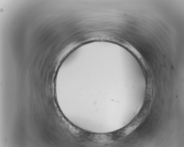 X0000060750807200511171121