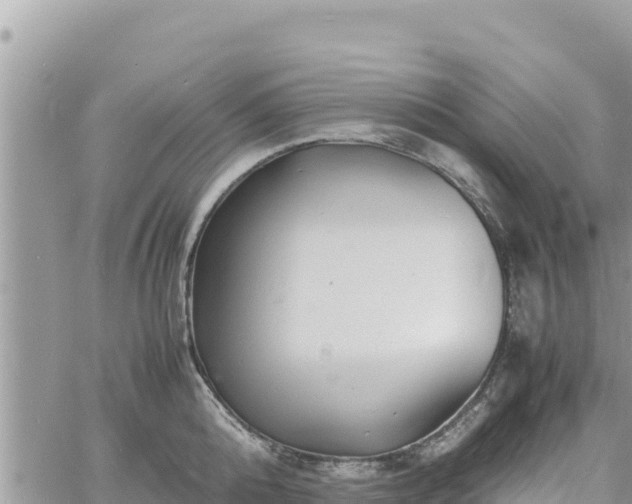 X0000060750808200511171121