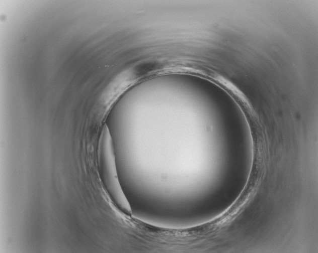 X0000060750809200511171121