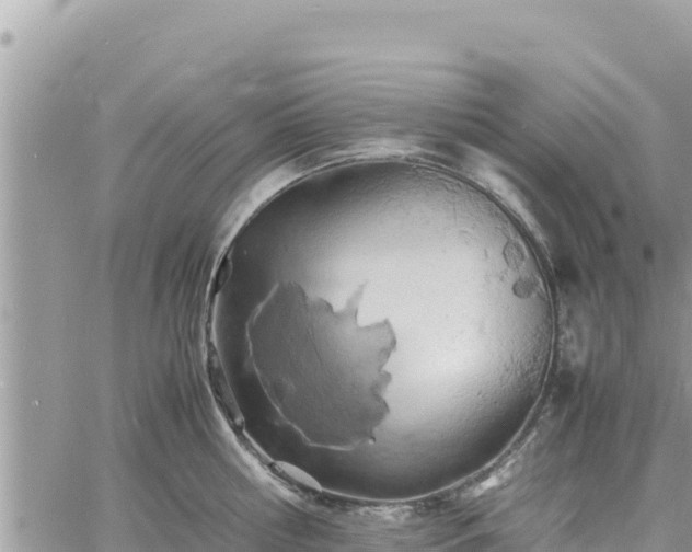 X0000060750810200511171121