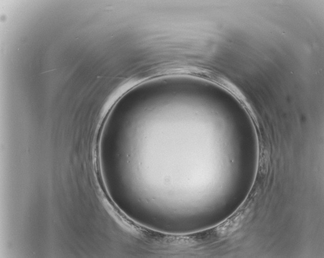 X0000060750811200511171121