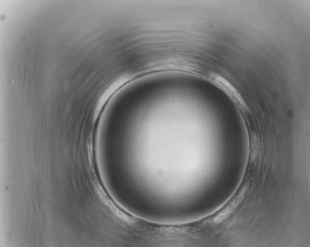 X0000060750812200511171121