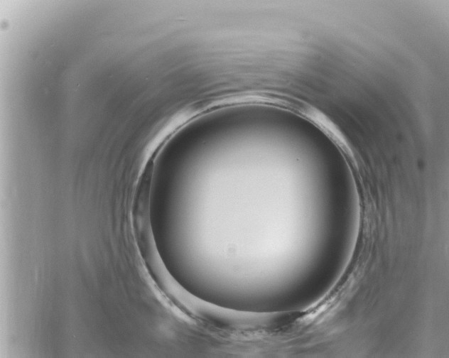 X0000060750813200511171121