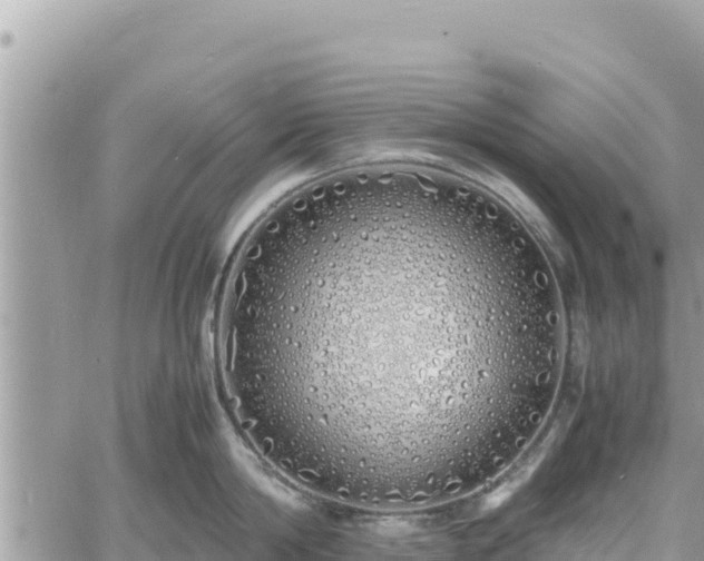 X0000060750814200511171121