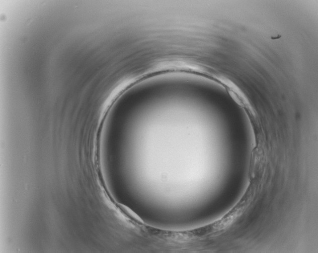 X0000060750815200511171121