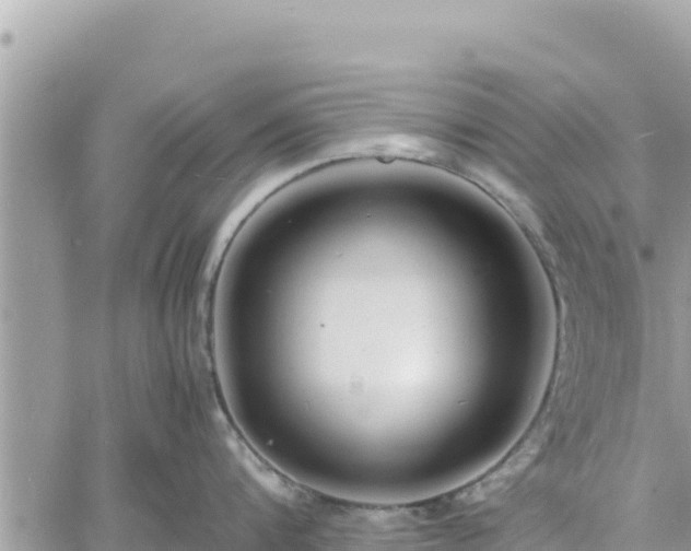 X0000060750816200511171121