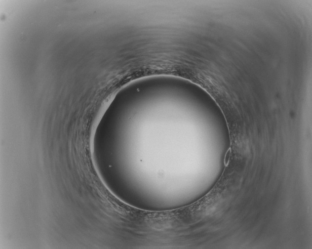 X0000060750817200511171120