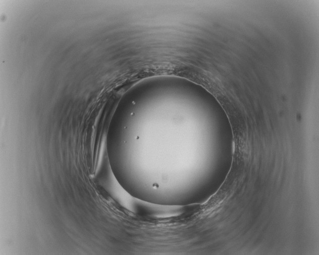 X0000060750818200511171120