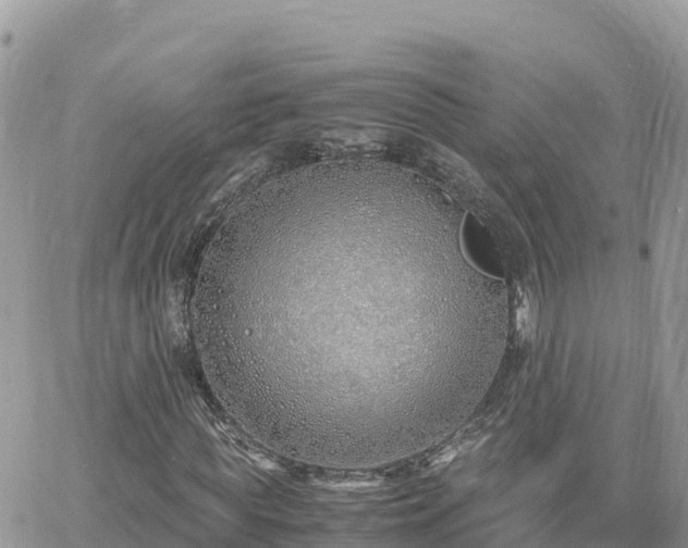 X0000060750819200511171120