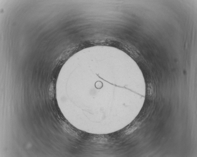 X0000060750820200511171120