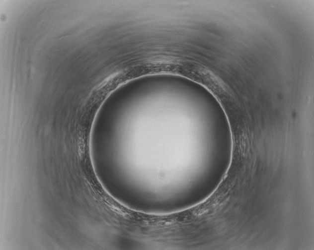 X0000060750821200511171120