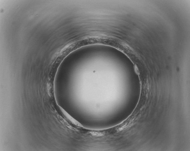 X0000060750822200511171120