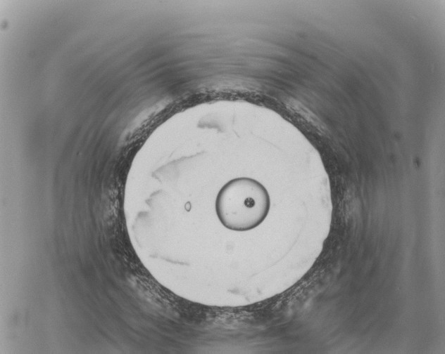 X0000060750824200511171120