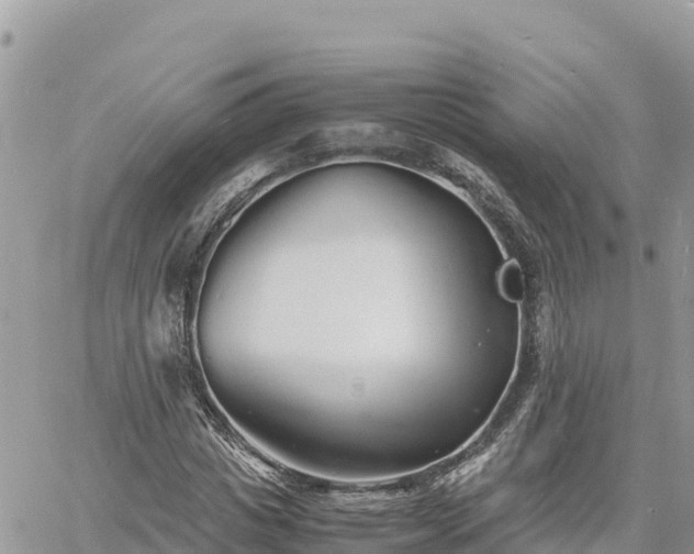 X0000060750825200511171120