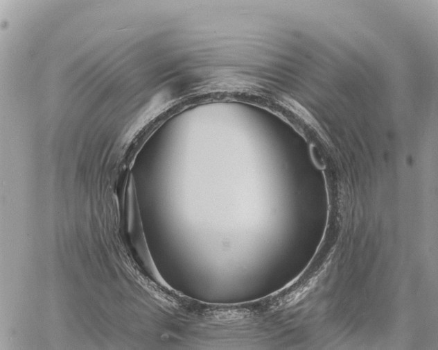 X0000060750826200511171120