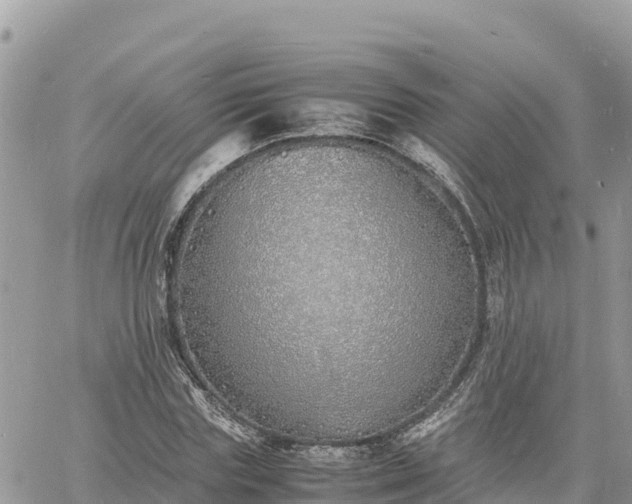 X0000060750827200511171120