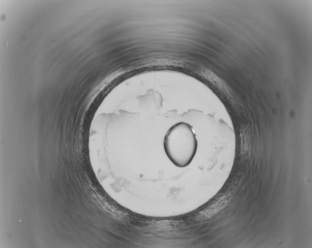 X0000060750828200511171120