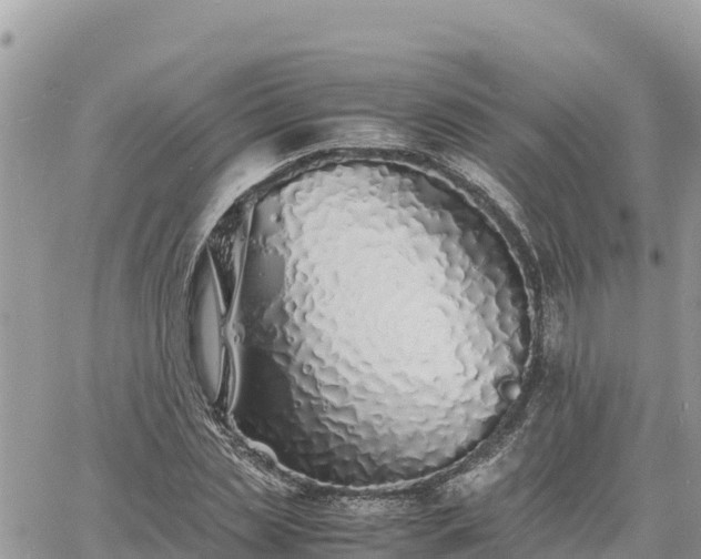 X0000060750829200511171120