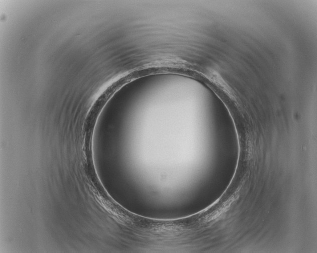 X0000060750830200511171120