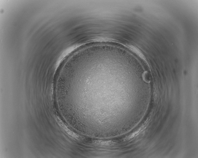 X0000060750831200511171120