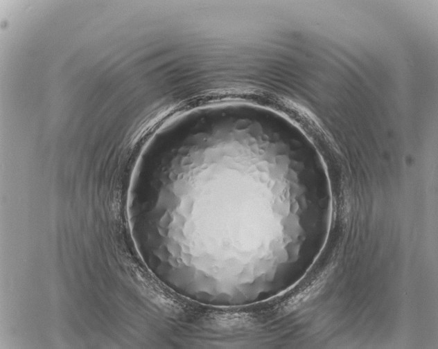 X0000060750833200511171120