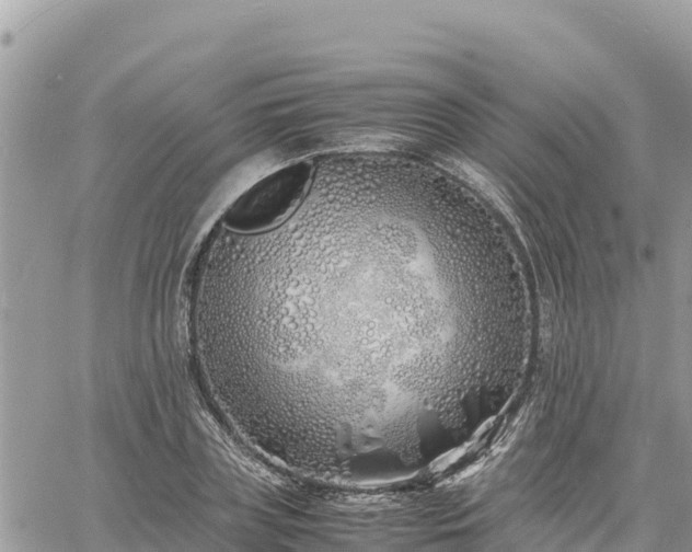 X0000060750835200511171120