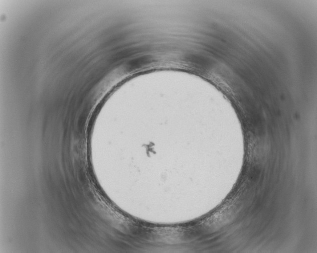 X0000060750836200511171120