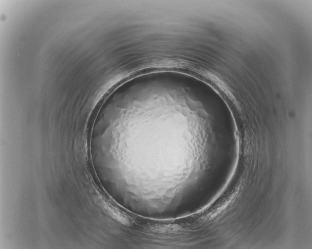 X0000060750837200511171120