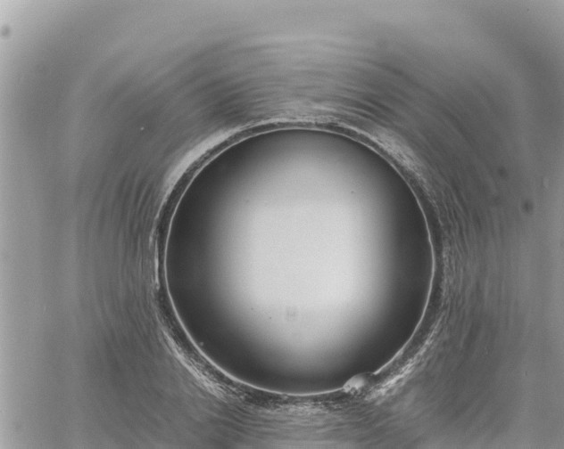 X0000060750838200511171120