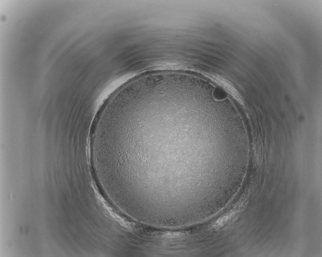 X0000060750839200511171120