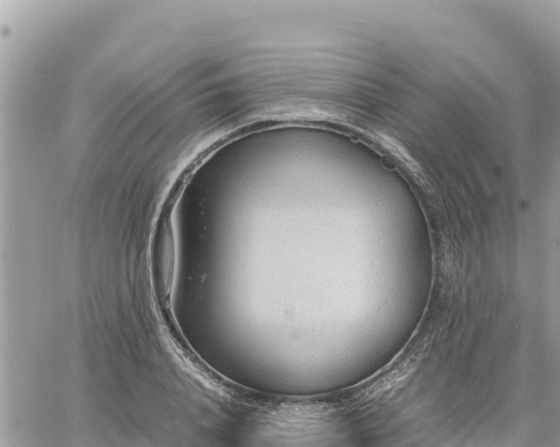 X0000060750840200511171120