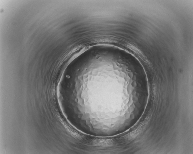 X0000060750841200511171120