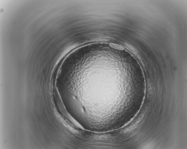 X0000060750843200511171120