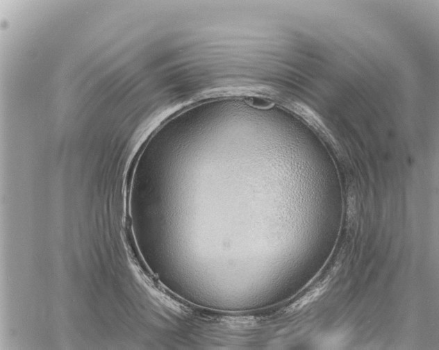 X0000060750844200511171120