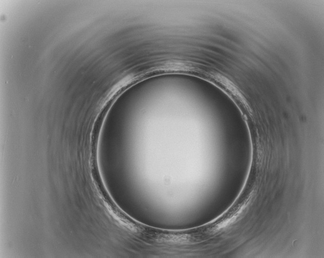 X0000060750845200511171120