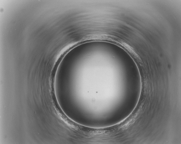 X0000060750846200511171120