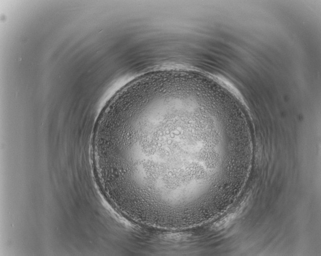 X0000060750847200511171120