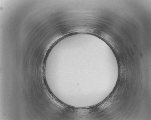 X0000060750848200511171120