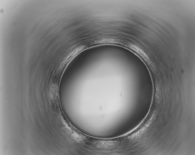 X0000060750849200511171120