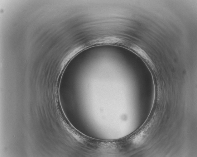 X0000060750850200511171121