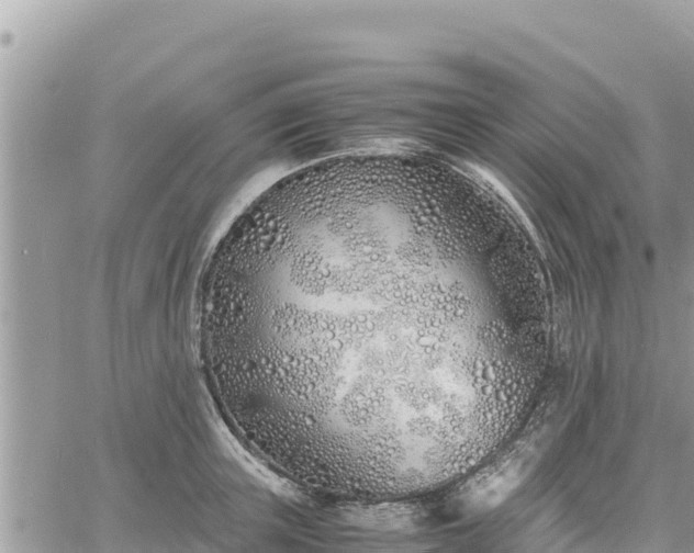 X0000060750851200511171121