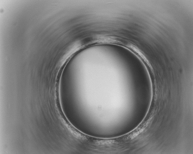 X0000060750853200511171121