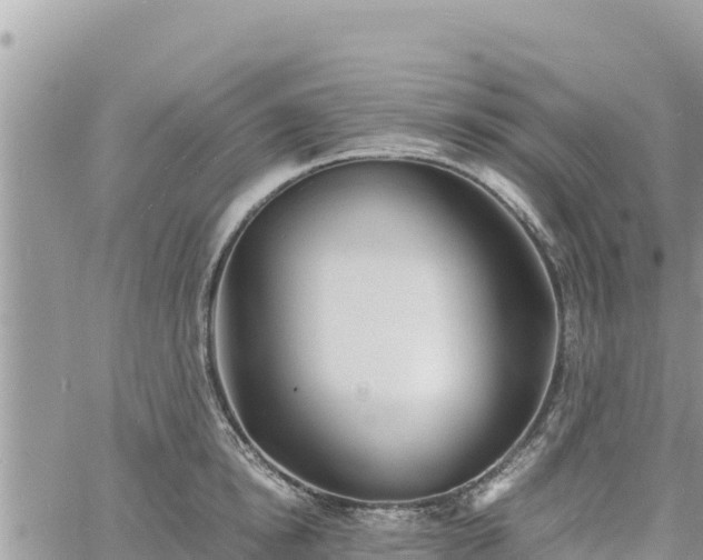 X0000060750854200511171121