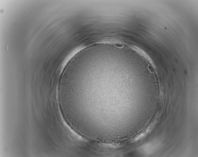 X0000060750855200511171121